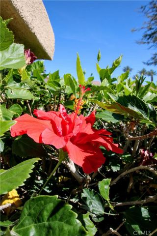 78436 Kistler, Palm Desert, CA 92211