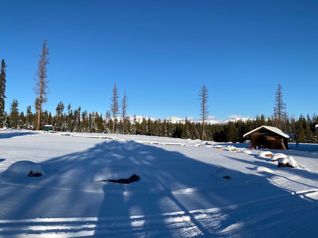 12455 N Placid Lake Road, Seeley Lake, MT 59868 photo 8