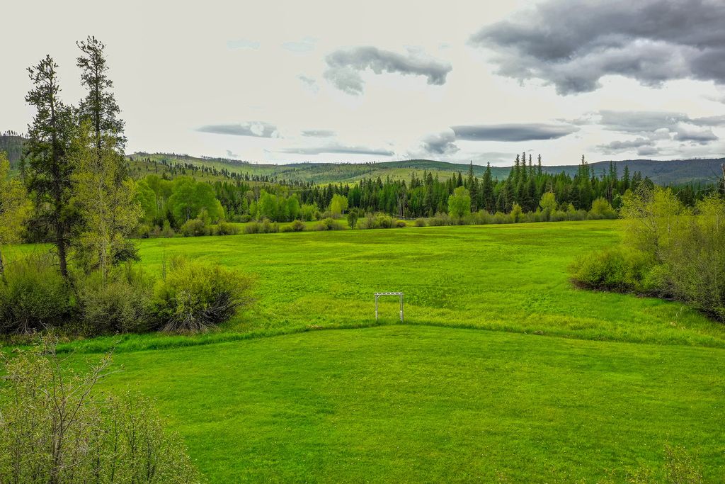 12455 N Placid Lake Road, Seeley Lake, MT 59868 photo 89