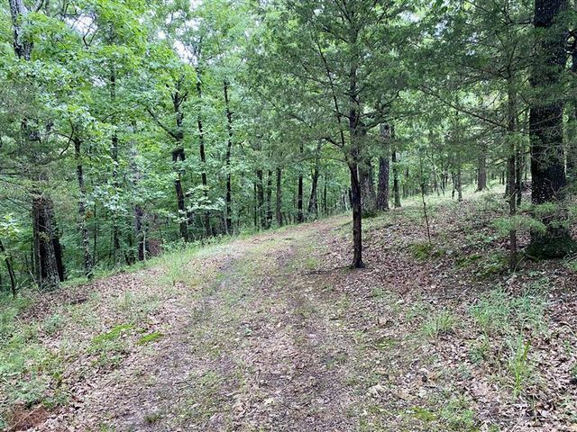 TBD Passion Play Road, Eureka Springs, AR 72632
