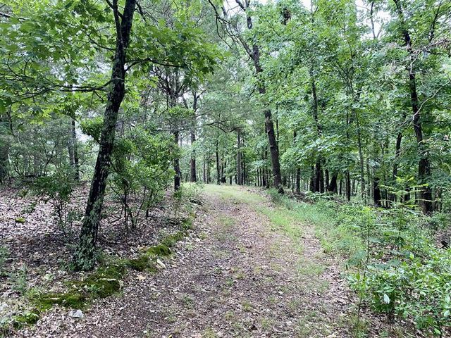 TBD Passion Play Road, Eureka Springs, AR 72632
