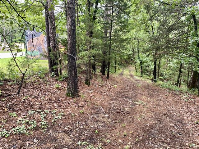 TBD Passion Play Road, Eureka Springs, AR 72632