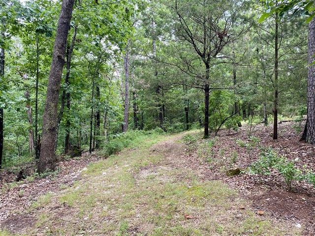 TBD Passion Play Road, Eureka Springs, AR 72632