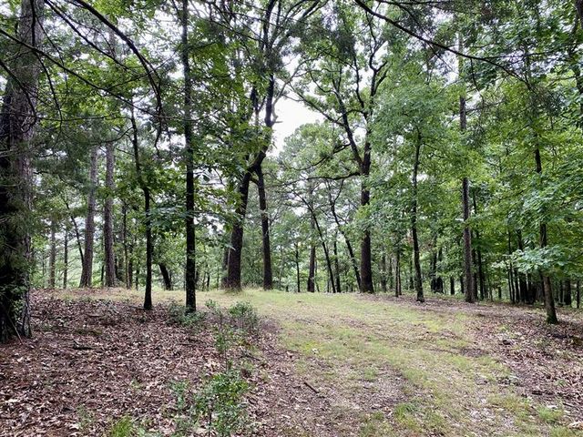 TBD Passion Play Road, Eureka Springs, AR 72632
