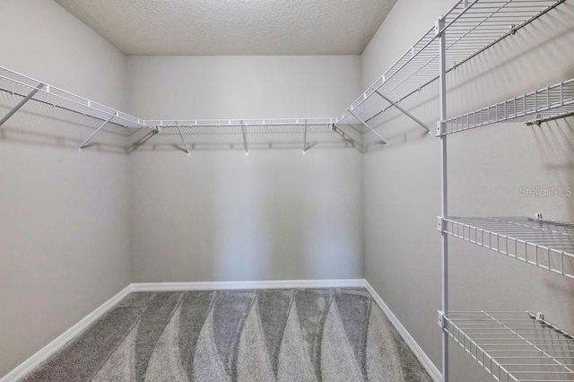 8150 RED STOPPER LANE, Winter Garden, FL 34787