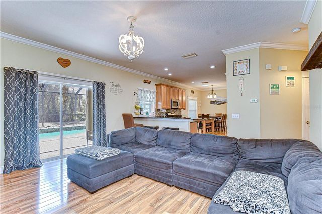 14738 HERONGLEN DRIVE, Lithia, FL 33547