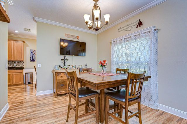 14738 HERONGLEN DRIVE, Lithia, FL 33547