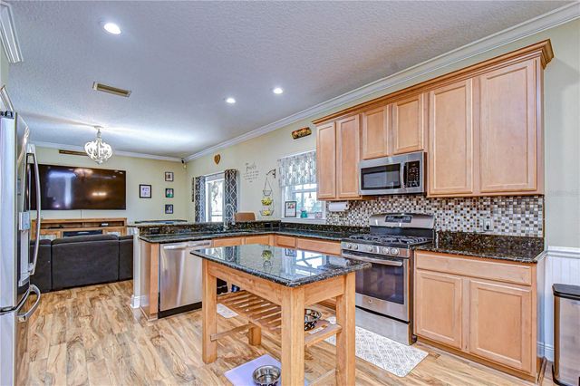 14738 HERONGLEN DRIVE, Lithia, FL 33547