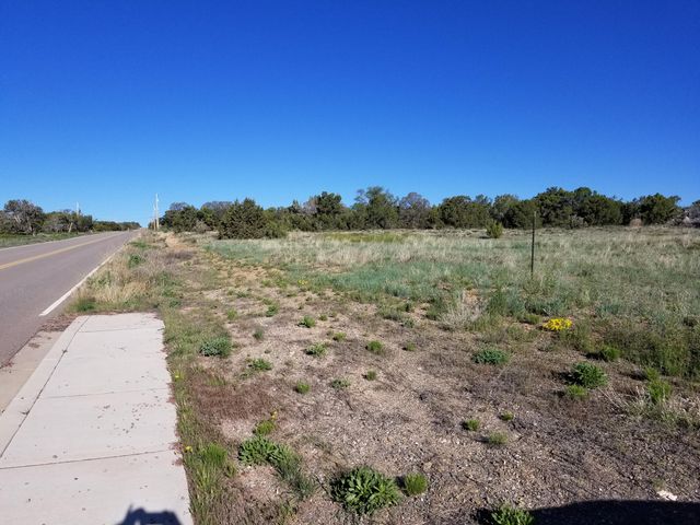 0 Walker Road, Edgewood, NM 87015