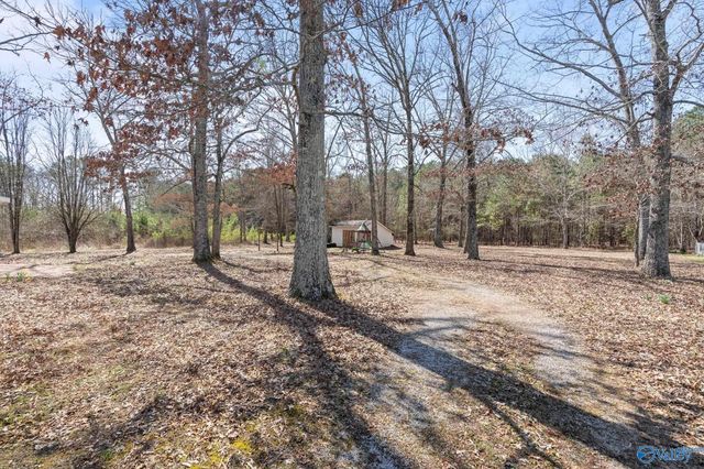 6729 Highway 53, Harvest, AL 35749