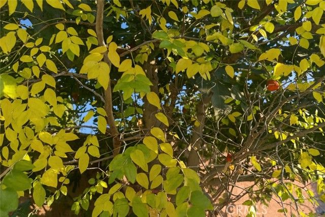 1019 W Pine, West Covina, CA 91790