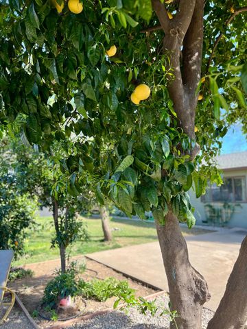 1559 Rushing St, Yuba City, CA 95993