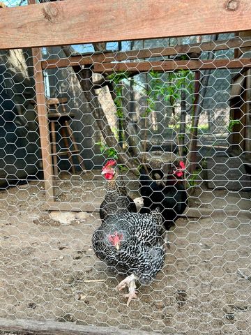 1559 Rushing St, Yuba City, CA 95993