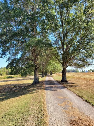 175 Dry Weakley Rd, Ethridge, TN 38456