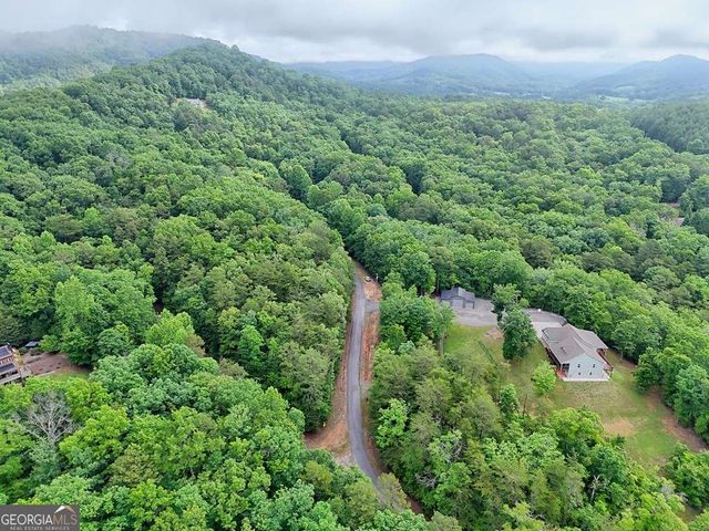LT 16,19 Pheasant Trail 16,19, Warne, NC 28909