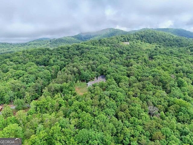 LT 16,19 Pheasant Trail 16,19, Warne, NC 28909