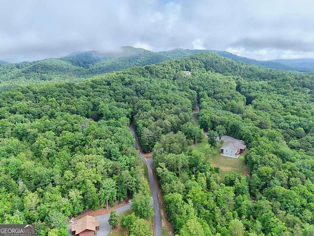 LT 16,19 Pheasant Trail 16,19, Warne, NC 28909