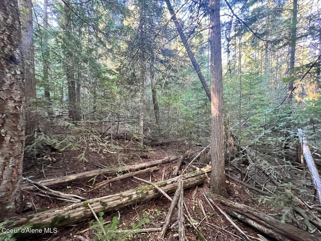 NKA Happy Valley Ln, St. Maries, ID 83861 photo 10