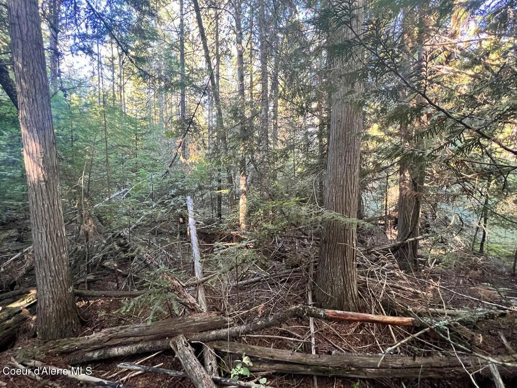 NKA Happy Valley Ln, St. Maries, ID 83861 photo 11