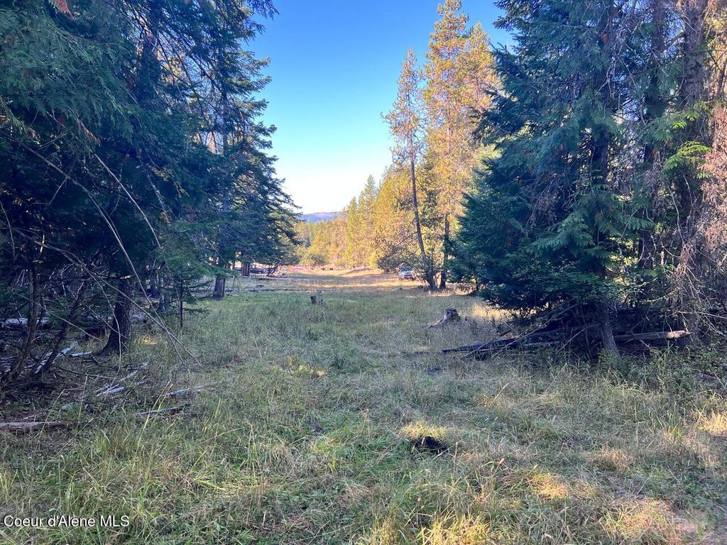 NKA Happy Valley Ln, St. Maries, ID 83861 photo 12