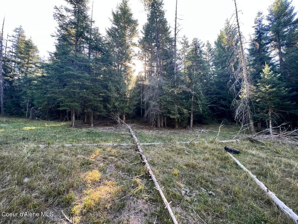 NKA Happy Valley Ln, St. Maries, ID 83861 photo 3