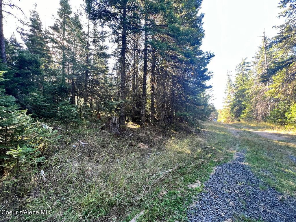 NKA Happy Valley Ln, St. Maries, ID 83861 photo 5