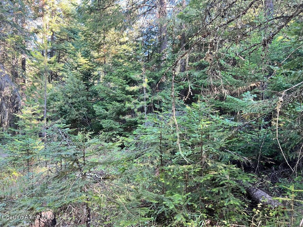 NKA Happy Valley Ln, St. Maries, ID 83861 photo 6