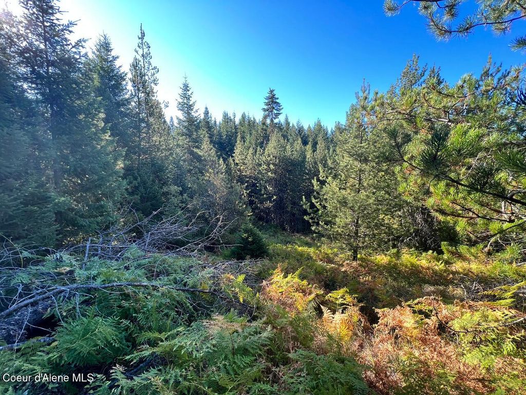 NKA Happy Valley Ln, St. Maries, ID 83861 photo 8