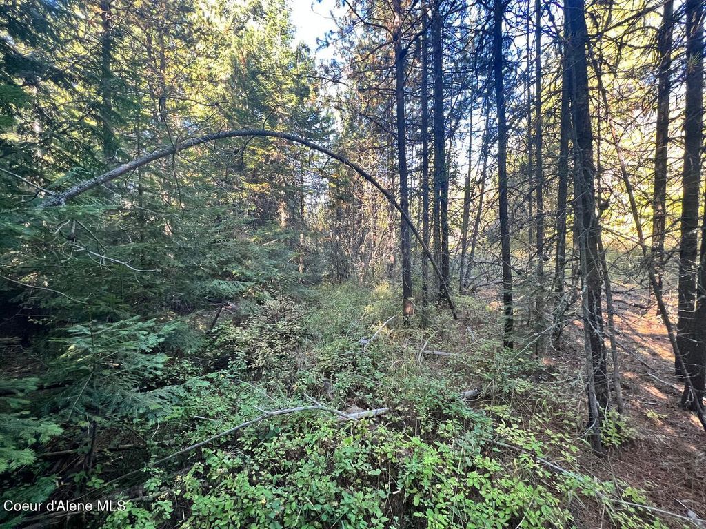 NKA Happy Valley Ln, St. Maries, ID 83861 photo 9