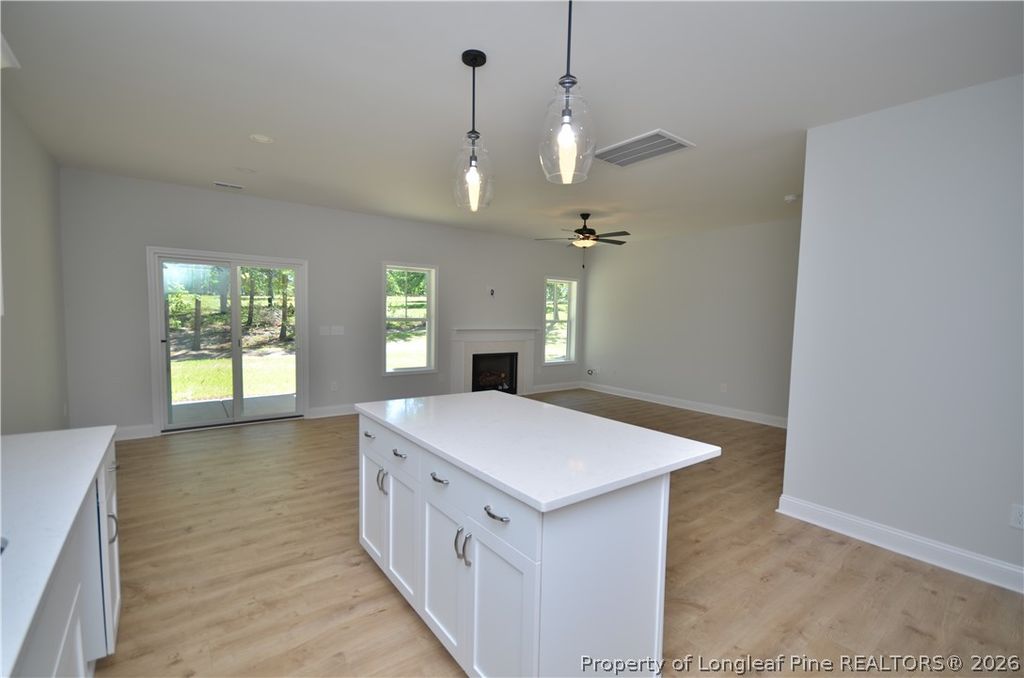324 D L Phillips (Lot 2) Lane, Broadway, NC 27505 — photo 12