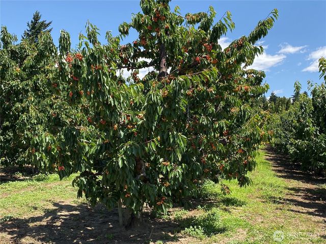 1055 N Jackson Avenue, East Wenatchee, WA 98802