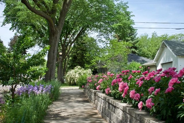 1003 Avon Street N, Saint Paul, MN 55103