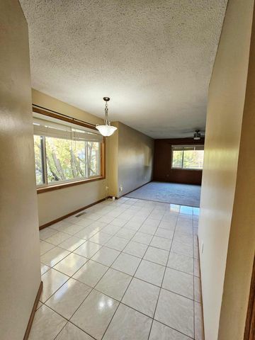 2536 131st Avenue NW, Coon Rapids, MN 55448