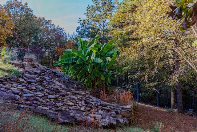 95 Cannon Hill Road, Perryville, AR 72126