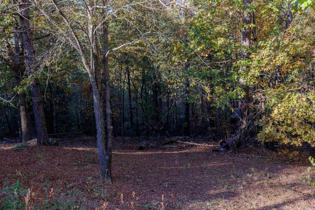 95 Cannon Hill Road, Perryville, AR 72126