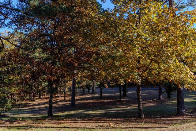 95 Cannon Hill Road, Perryville, AR 72126