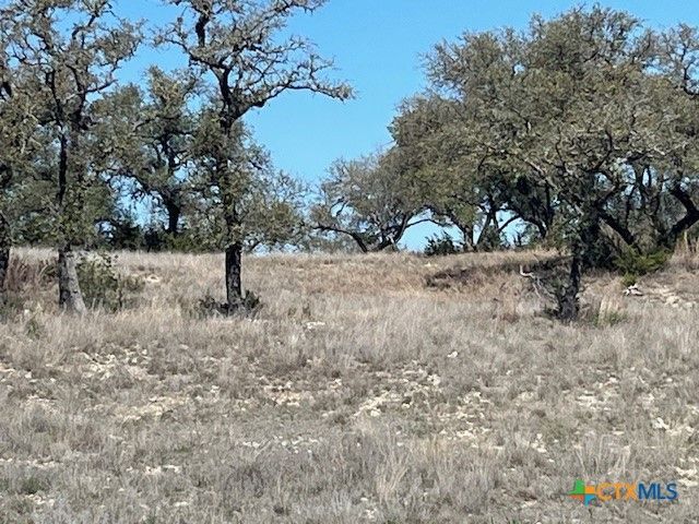 1161 Brads Flight, Canyon Lake, TX 78133