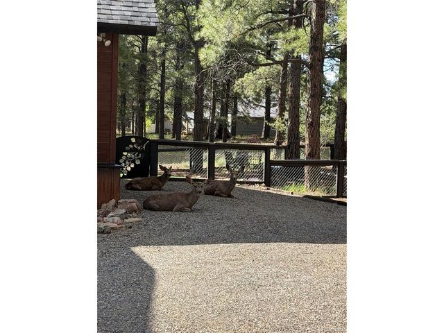 125 Teakwood Dr, Pagosa Springs, CO 81147
