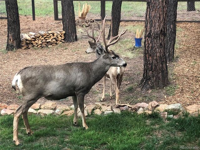 125 Teakwood Dr, Pagosa Springs, CO 81147