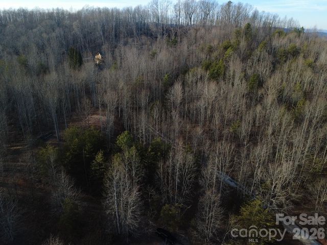 Lot 23 & 24 Double Eagle Drive 23 & 24, Nebo, NC 28761