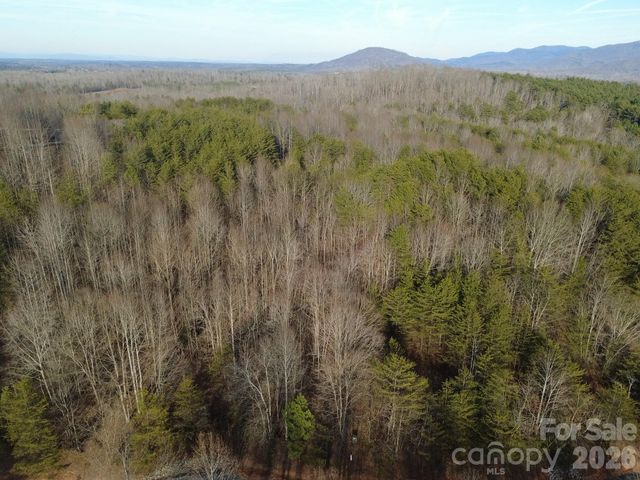 Lot 23 & 24 Double Eagle Drive 23 & 24, Nebo, NC 28761
