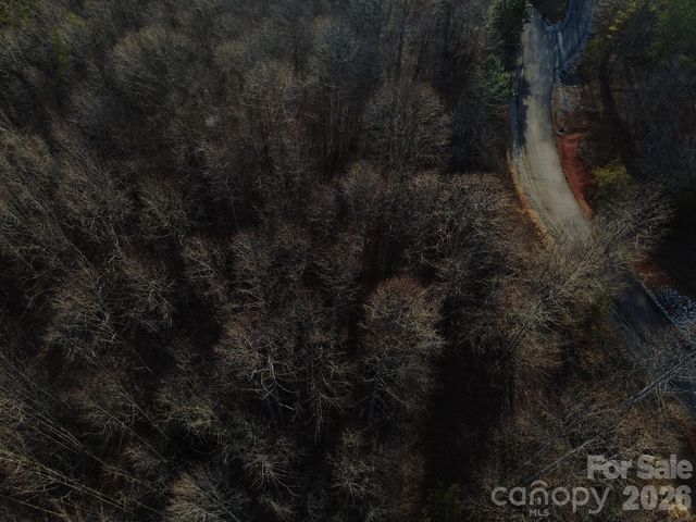 Lot 23 & 24 Double Eagle Drive 23 & 24, Nebo, NC 28761