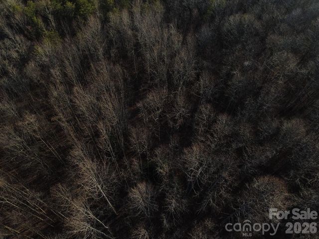 Lot 23 & 24 Double Eagle Drive 23 & 24, Nebo, NC 28761