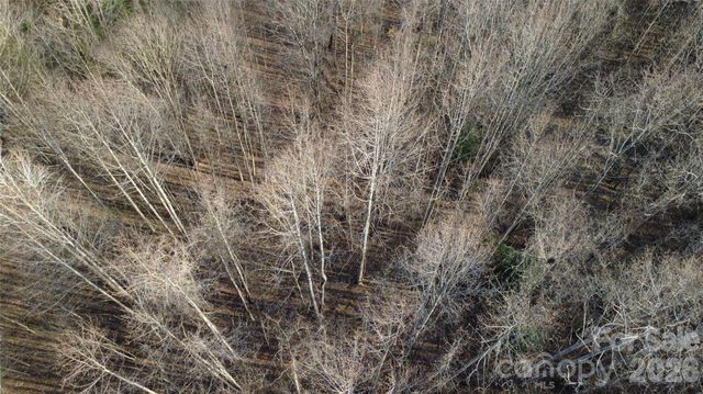 Lot 23 & 24 Double Eagle Drive 23 & 24, Nebo, NC 28761