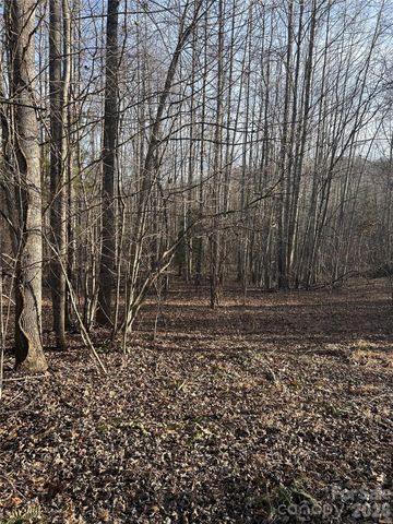 Lot 23 & 24 Double Eagle Drive 23 & 24, Nebo, NC 28761