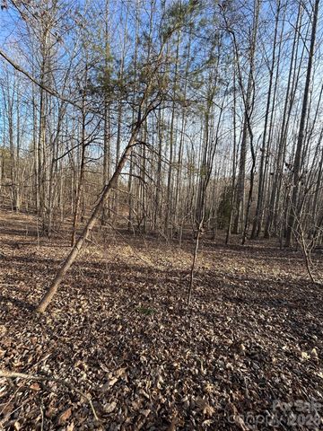 Lot 23 & 24 Double Eagle Drive 23 & 24, Nebo, NC 28761