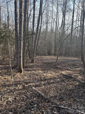 Lot 23 & 24 Double Eagle Drive 23 & 24, Nebo, NC 28761