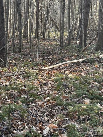 Lot 23 & 24 Double Eagle Drive 23 & 24, Nebo, NC 28761