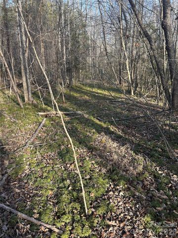 Lot 23 & 24 Double Eagle Drive 23 & 24, Nebo, NC 28761