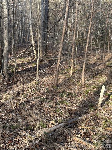 Lot 23 & 24 Double Eagle Drive 23 & 24, Nebo, NC 28761